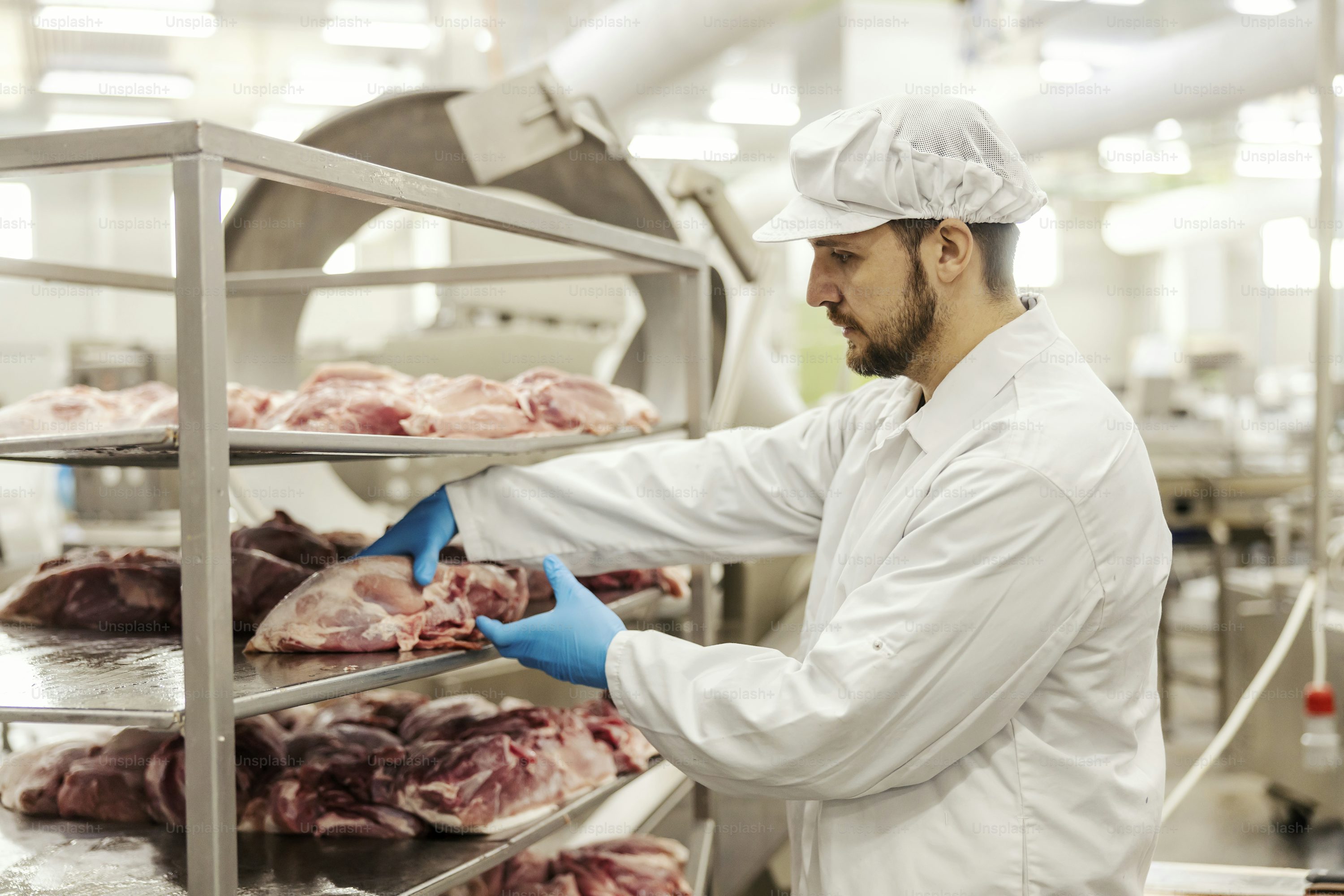 Butcher shop professional